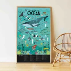 Animals Of The Oceans Poster 15 Animals Of The Oceans Poster -Children's Trendy Toy Store animals of the oceans poster poppik lil tulips 27962974699638