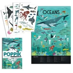 Animals Of The Oceans Poster