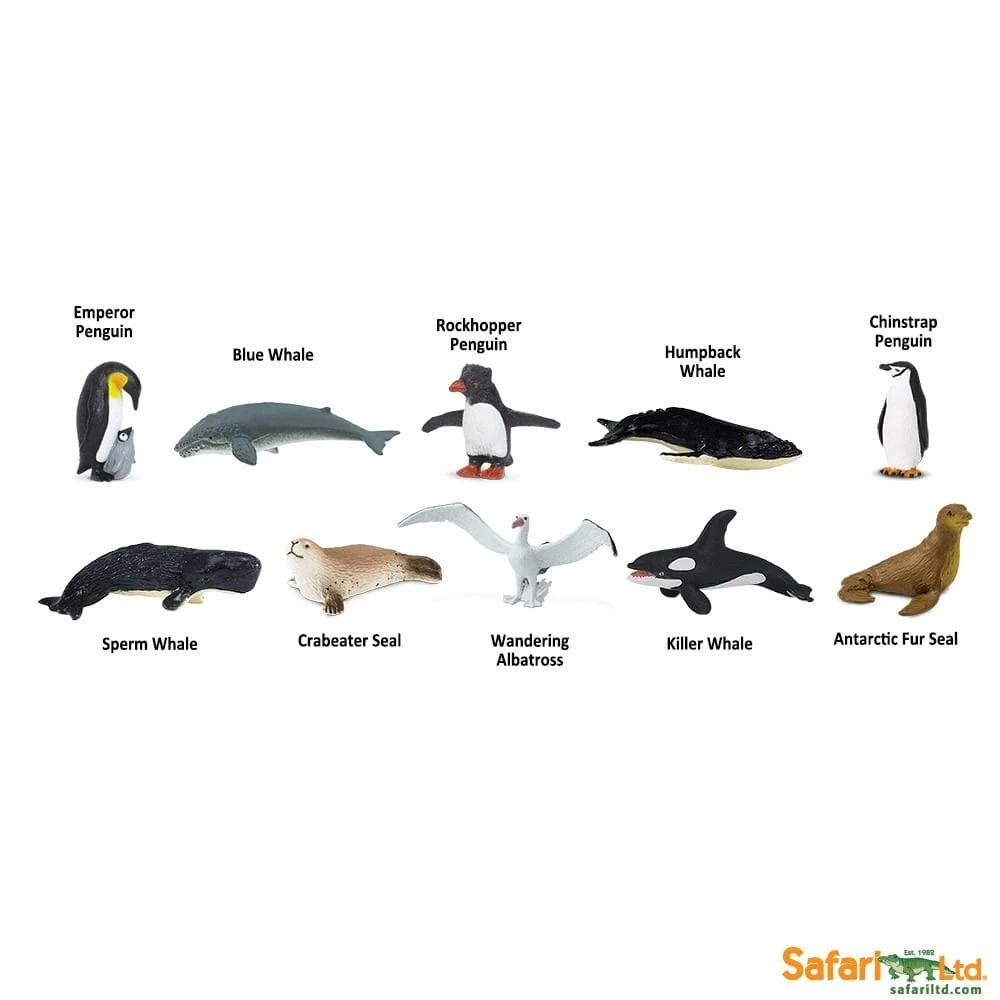 Antarctica TOOB® 4 Antarctica TOOB® - Image 2