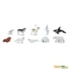 Arctic TOOB® 1 Arctic TOOB® -Children's Trendy Toy Store arctic toob safari ltd lil tulips 797613096984