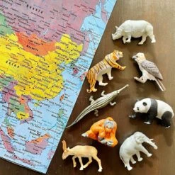 Asian Animals TOOB® -Children's Trendy Toy Store asian animals toob safari ltd lil tulips 30270832509046
