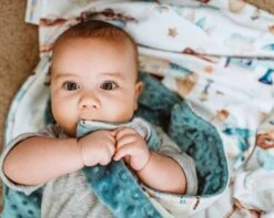 Baby & Toddler Minky Blanket - Planes, Trains, Automobile 12 Baby & Toddler Minky Blanket - Planes, Trains, Automobile -Children's Trendy Toy Store baby toddler minky blanket planes trains automobile honey lemonade lil tulips 30877704749174