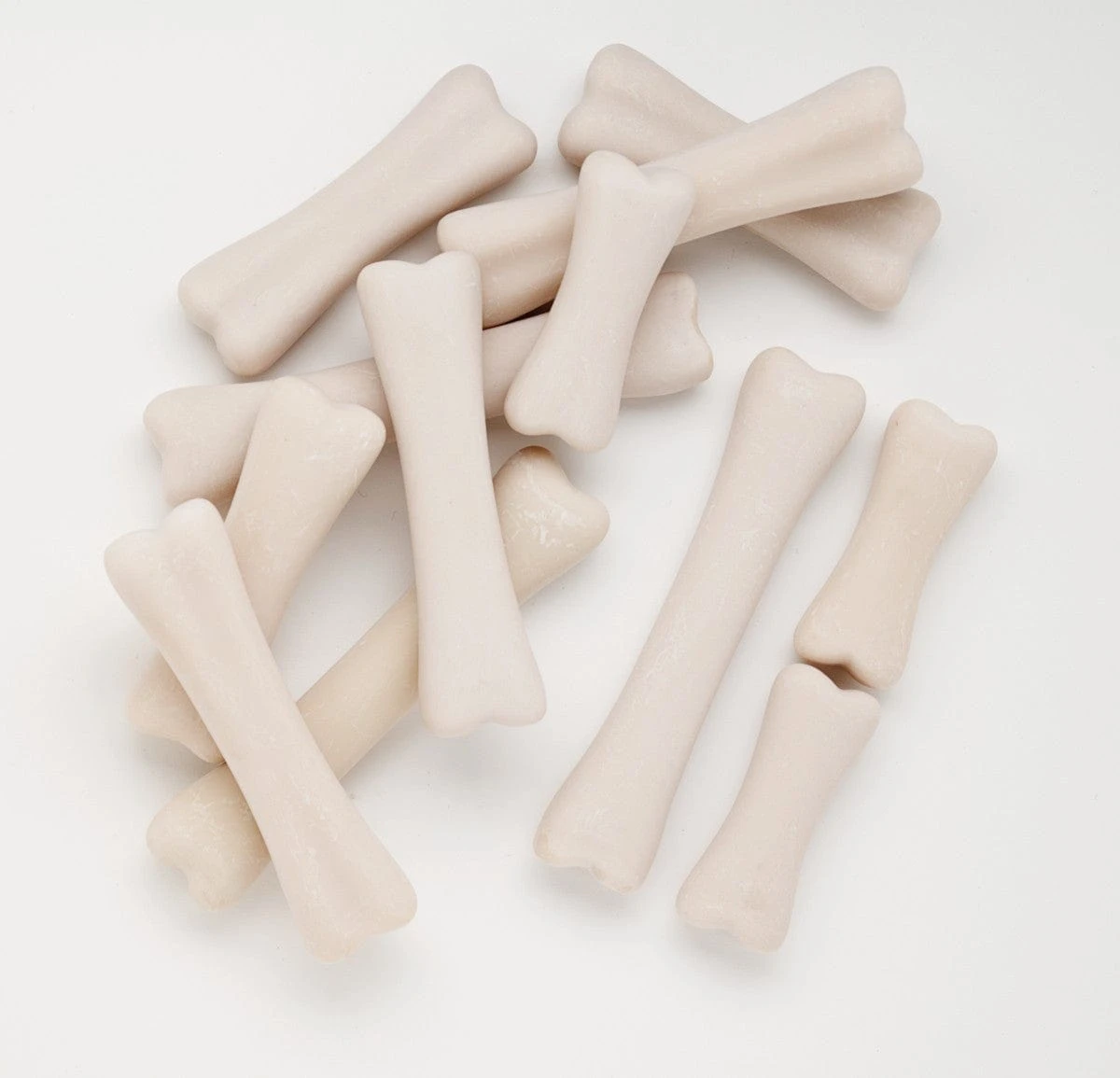 Dinosaur Bones Discovery Set 6 Dinosaur Bones Discovery Set - Image 4