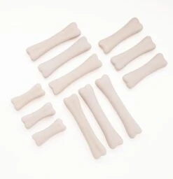 Dinosaur Bones Discovery Set 10 Dinosaur Bones Discovery Set -Children's Trendy Toy Store dinosaur bones discovery set yellow door us llc lil tulips 14760967733366