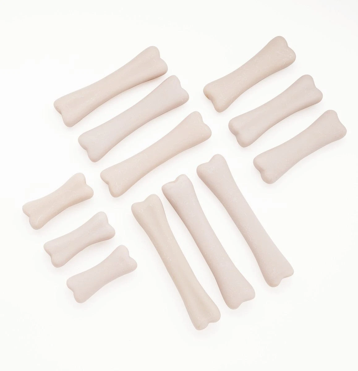 Dinosaur Bones Discovery Set 5 Dinosaur Bones Discovery Set - Image 3