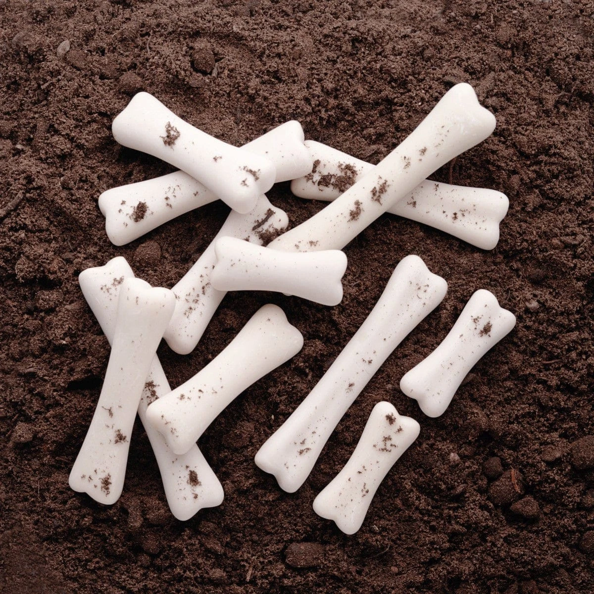 Dinosaur Bones Discovery Set 3 Dinosaur Bones Discovery Set