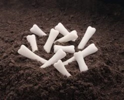 Dinosaur Bones Discovery Set 13 Dinosaur Bones Discovery Set -Children's Trendy Toy Store dinosaur bones discovery set yellow door us llc lil tulips 14760967831670