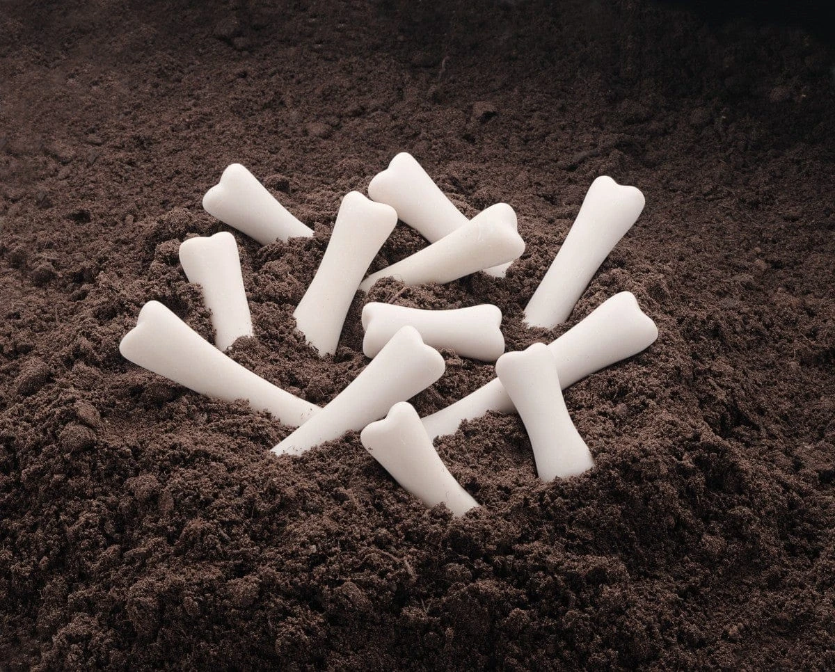 Dinosaur Bones Discovery Set 8 Dinosaur Bones Discovery Set - Image 6