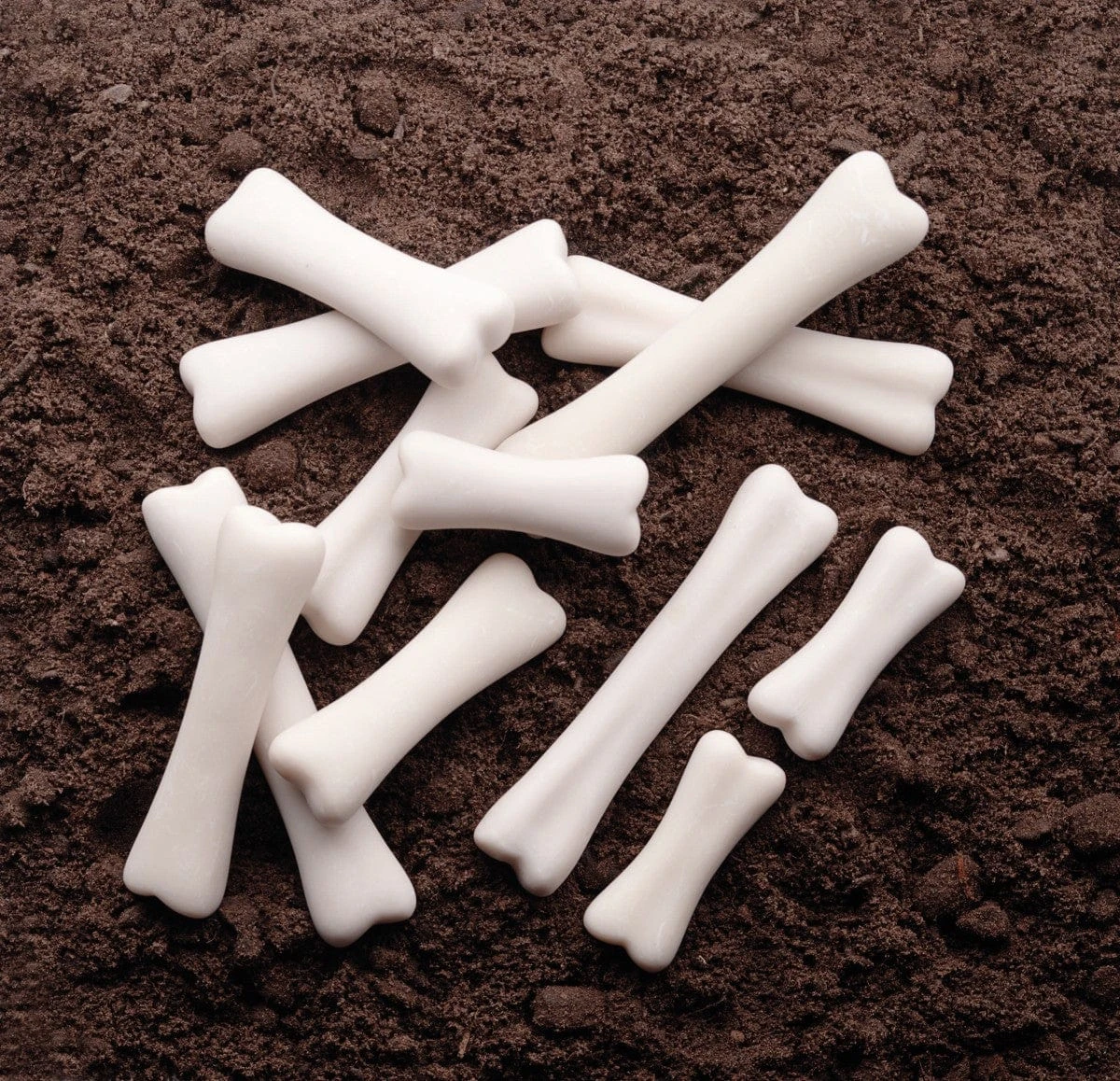 Dinosaur Bones Discovery Set 7 Dinosaur Bones Discovery Set - Image 5