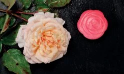 Flowers Sensory Play Stones 11 Flowers Sensory Play Stones -Children's Trendy Toy Store flowers sensory play stones yellow door us llc lil tulips 29266594824310