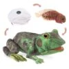 Frog Life Cycle Puppet -Children's Trendy Toy Store frog life cycle puppet folkmanis puppets folkmanis puppets lil tulips 30200471683190