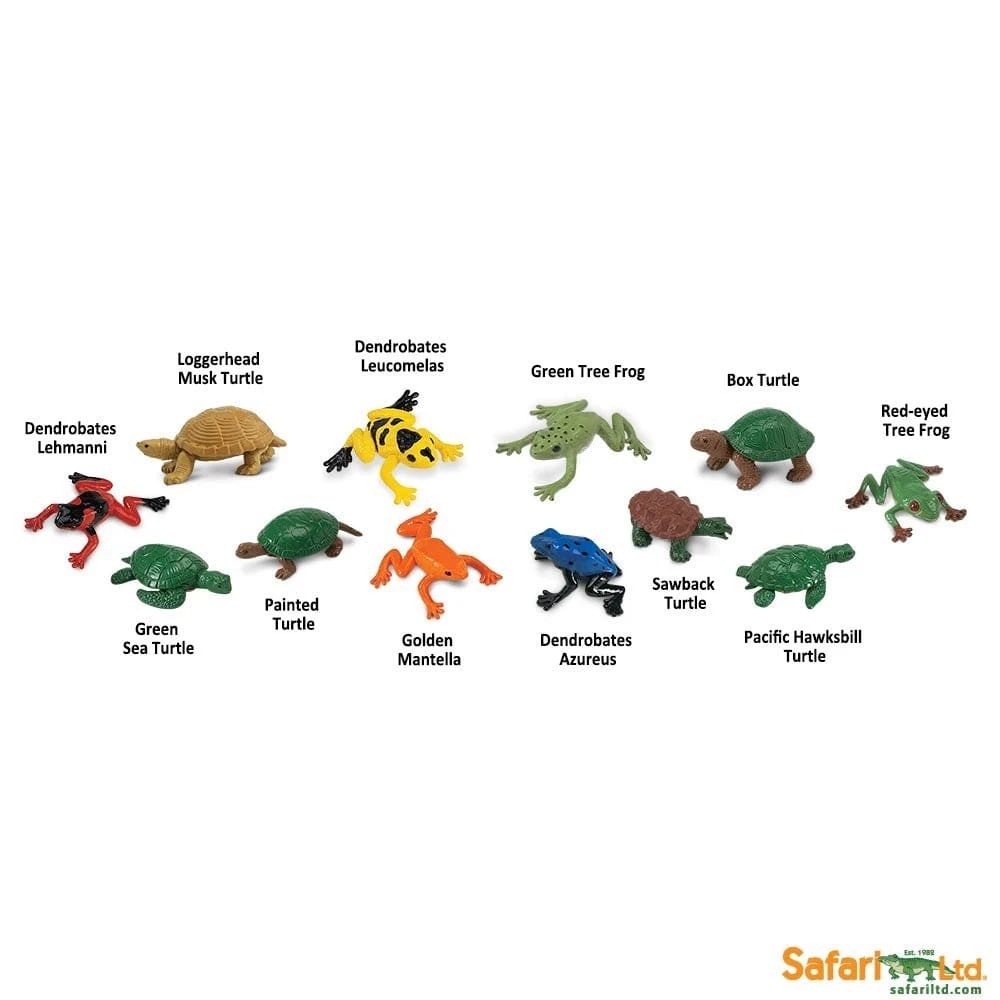 Frogs And Turtles TOOB® 4 Frogs And Turtles TOOB® - Image 2