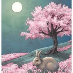 Full Moon Lore -Children's Trendy Toy Store full moon lore sleeping bear press books lil tulips 29706073735286