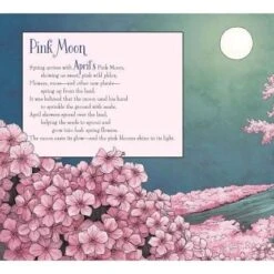Full Moon Lore -Children's Trendy Toy Store full moon lore sleeping bear press books lil tulips 29706073768054