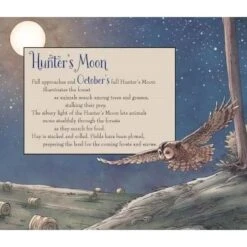 Full Moon Lore -Children's Trendy Toy Store full moon lore sleeping bear press books lil tulips 29706074030198