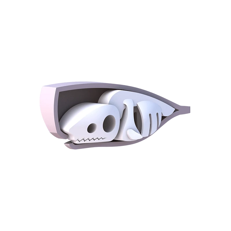 Halftoys Cachalot 4 Halftoys Cachalot - Image 2