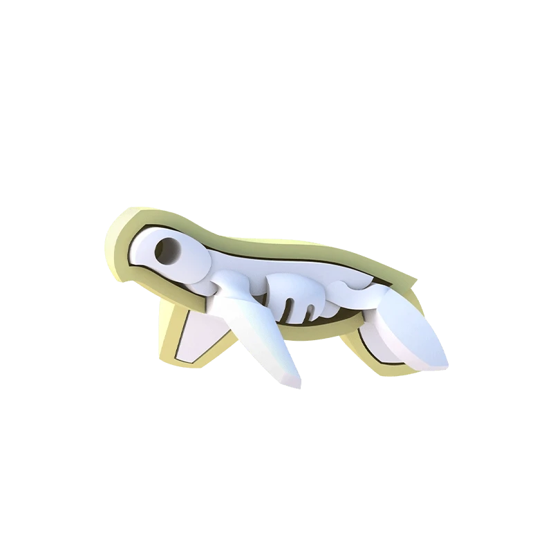 Halftoys Green Turtle 4 Halftoys Green Turtle - Image 2