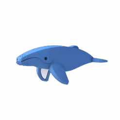 Halftoys Humpback Whale