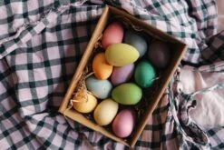 Happy Eggs -Children's Trendy Toy Store happy eggs grapat lil tulips 30920805417078