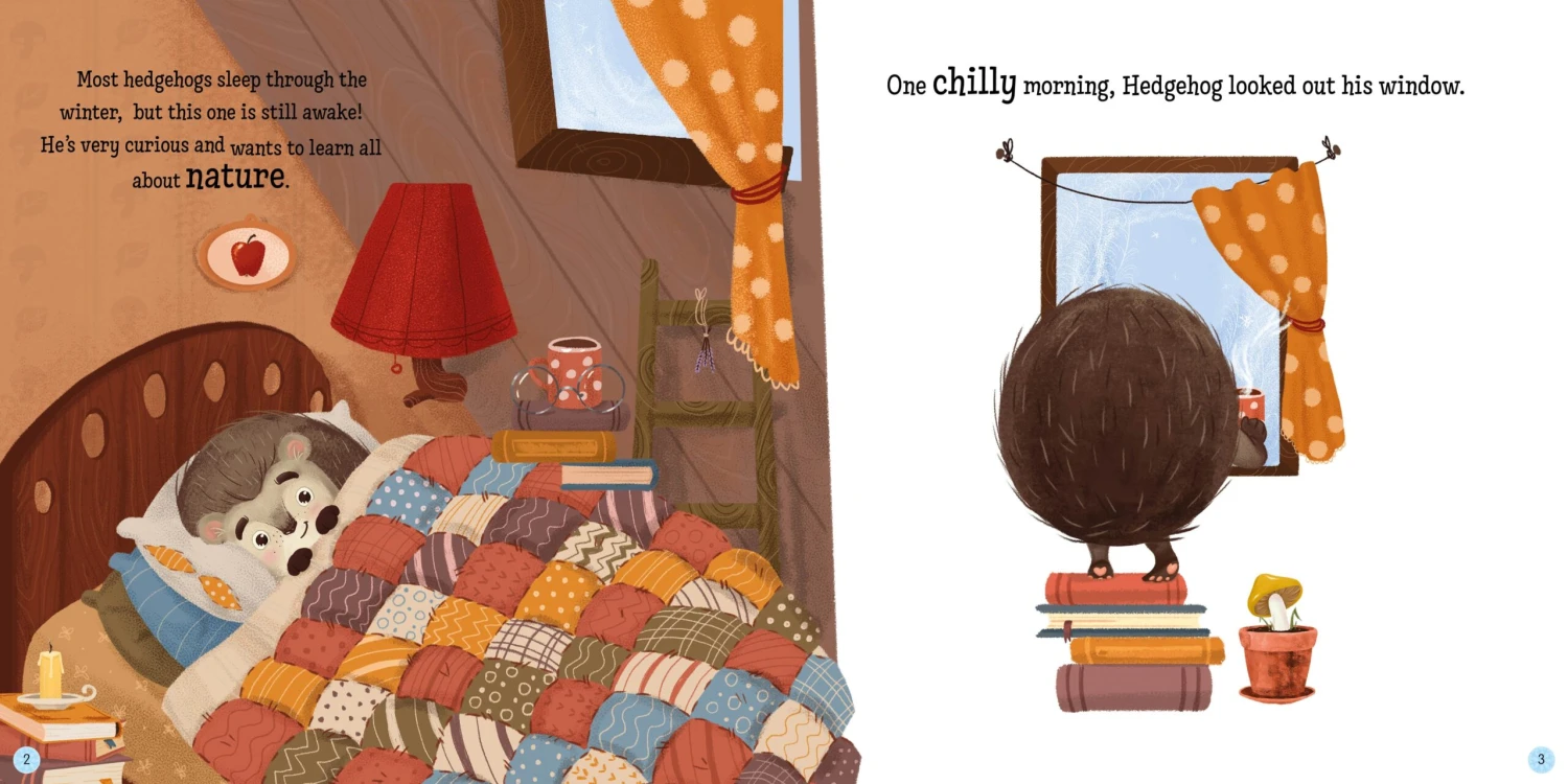 Hedgehog's Home For Winter 4 Hedgehog's Home For Winter - Image 2