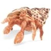 Hermit Crab Puppet -Children's Trendy Toy Store hermit crab puppet folkmanis puppets folkmanis puppets lil tulips 29455359311990