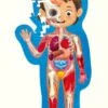 Hape Human Body Puzzle -Children's Trendy Toy Store human body puzzle hape lil tulips 29674546561142