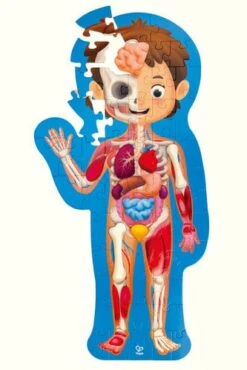 Hape Human Body Puzzle