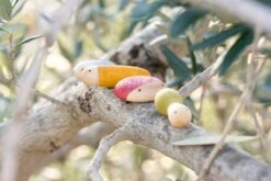 Insects -Children's Trendy Toy Store insects grapat lil tulips 8106543022198