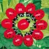 Ladybug Counting Play Stones 1 Ladybug Counting Play Stones -Children's Trendy Toy Store ladybug counting play stones yellow door us llc lil tulips 30580112130166