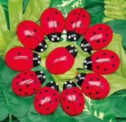 Ladybug Counting Play Stones