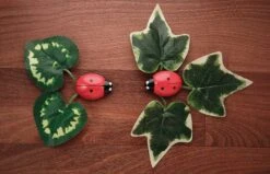 Ladybug Counting Play Stones 9 Ladybug Counting Play Stones -Children's Trendy Toy Store ladybug counting play stones yellow door us llc lil tulips 30580112162934