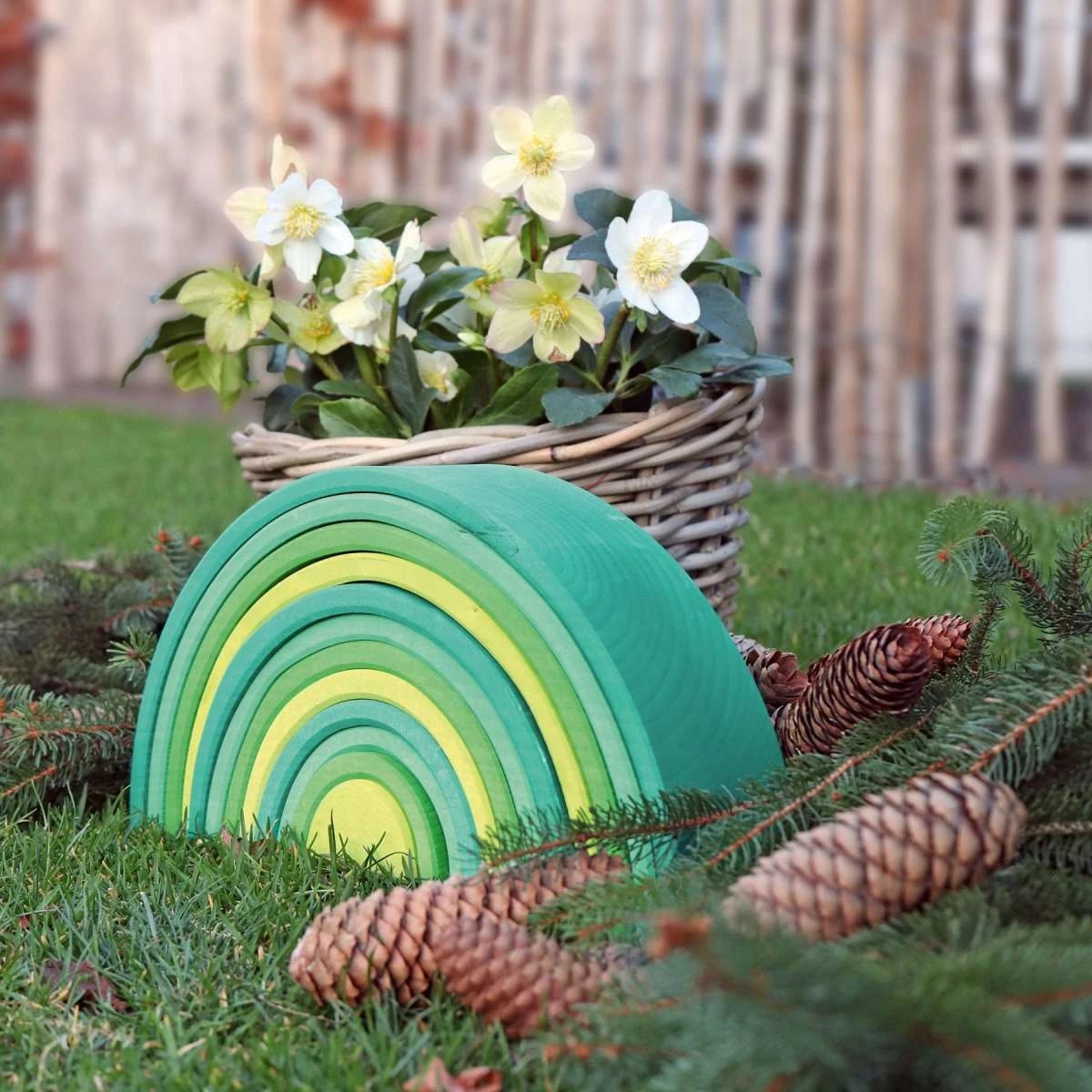 Large Rainbow Forest Green 5 Large Rainbow Forest Green - Image 3