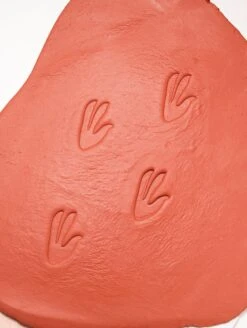 Let’s Investigate – Dinosaur Footprints -Children's Trendy Toy Store let s investigate dinosaur footprints yellow door us llc lil tulips 29553143349366