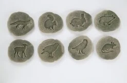 Let’s Investigate Woodland Footprints 14 Let’s Investigate Woodland Footprints -Children's Trendy Toy Store let s investigate woodland footprints yellow door us llc lil tulips 29488961421430