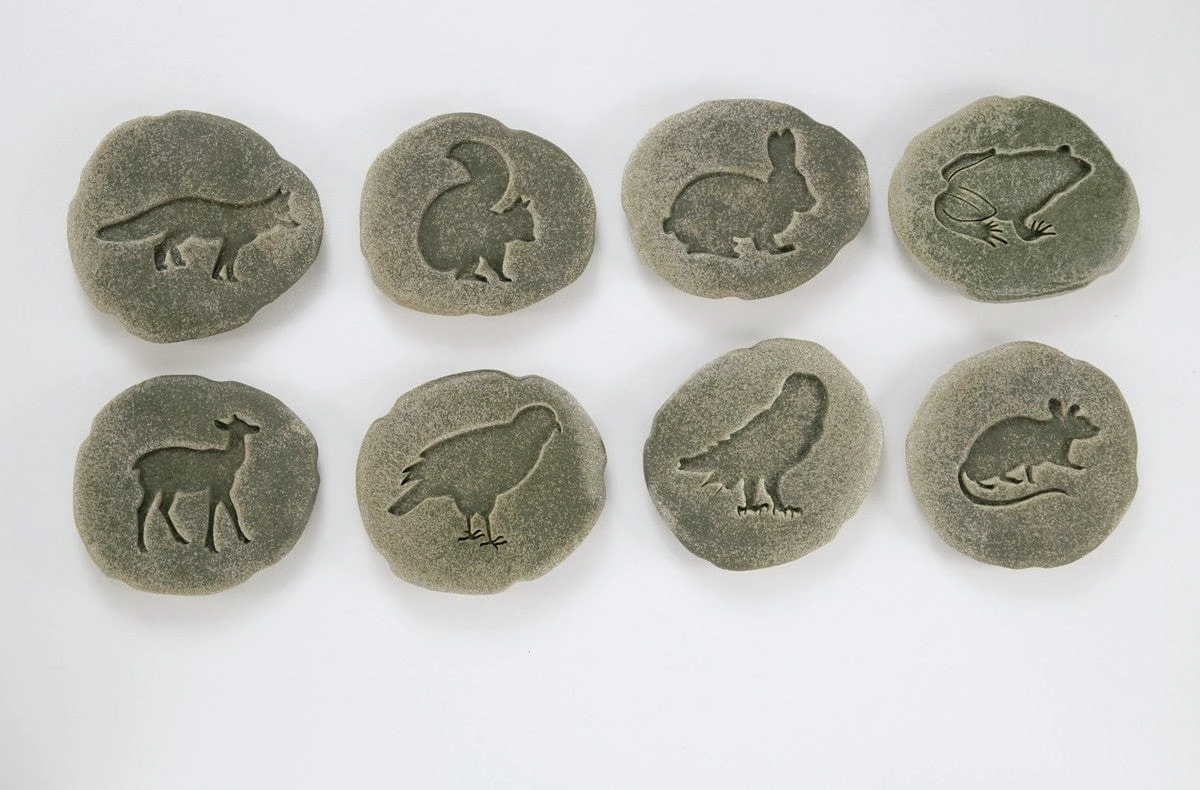 Let’s Investigate Woodland Footprints 8 Let’s Investigate Woodland Footprints - Image 6