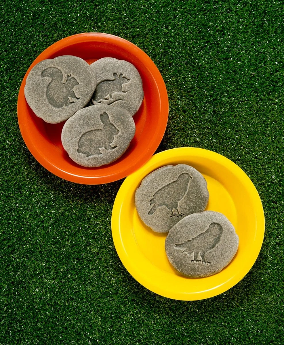 Let’s Investigate Woodland Footprints 6 Let’s Investigate Woodland Footprints - Image 4