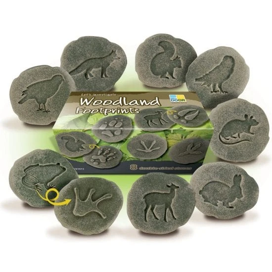 Let’s Investigate Woodland Footprints 4 Let’s Investigate Woodland Footprints - Image 2