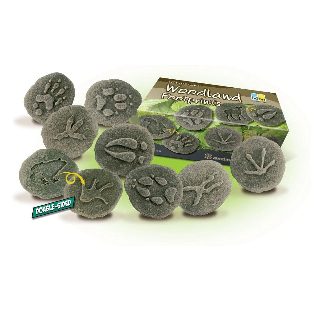 Let’s Investigate Woodland Footprints 9 Let’s Investigate Woodland Footprints - Image 7