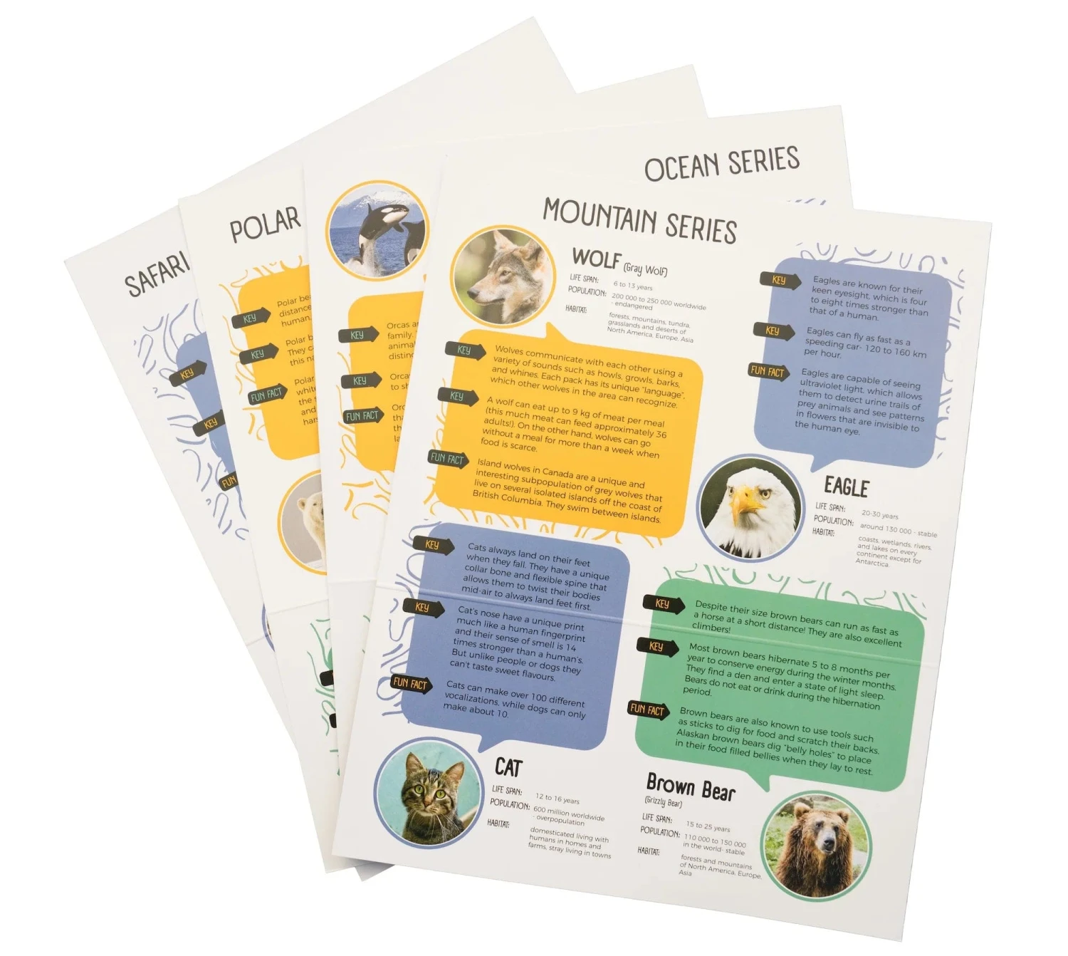 Penguin Alabaster Carving Kit 7 Penguin Alabaster Carving Kit - Image 5