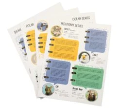 Polar Bear Alabaster Carving Kit 11 Polar Bear Alabaster Carving Kit -Children's Trendy Toy Store polar bear alabaster carving kit studiostone creative lil tulips 30908234301558