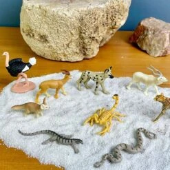 Sahara Desert Animals TOOB® 11 Sahara Desert Animals TOOB® -Children's Trendy Toy Store sahara desert animals toob safari ltd lil tulips 30270833852534