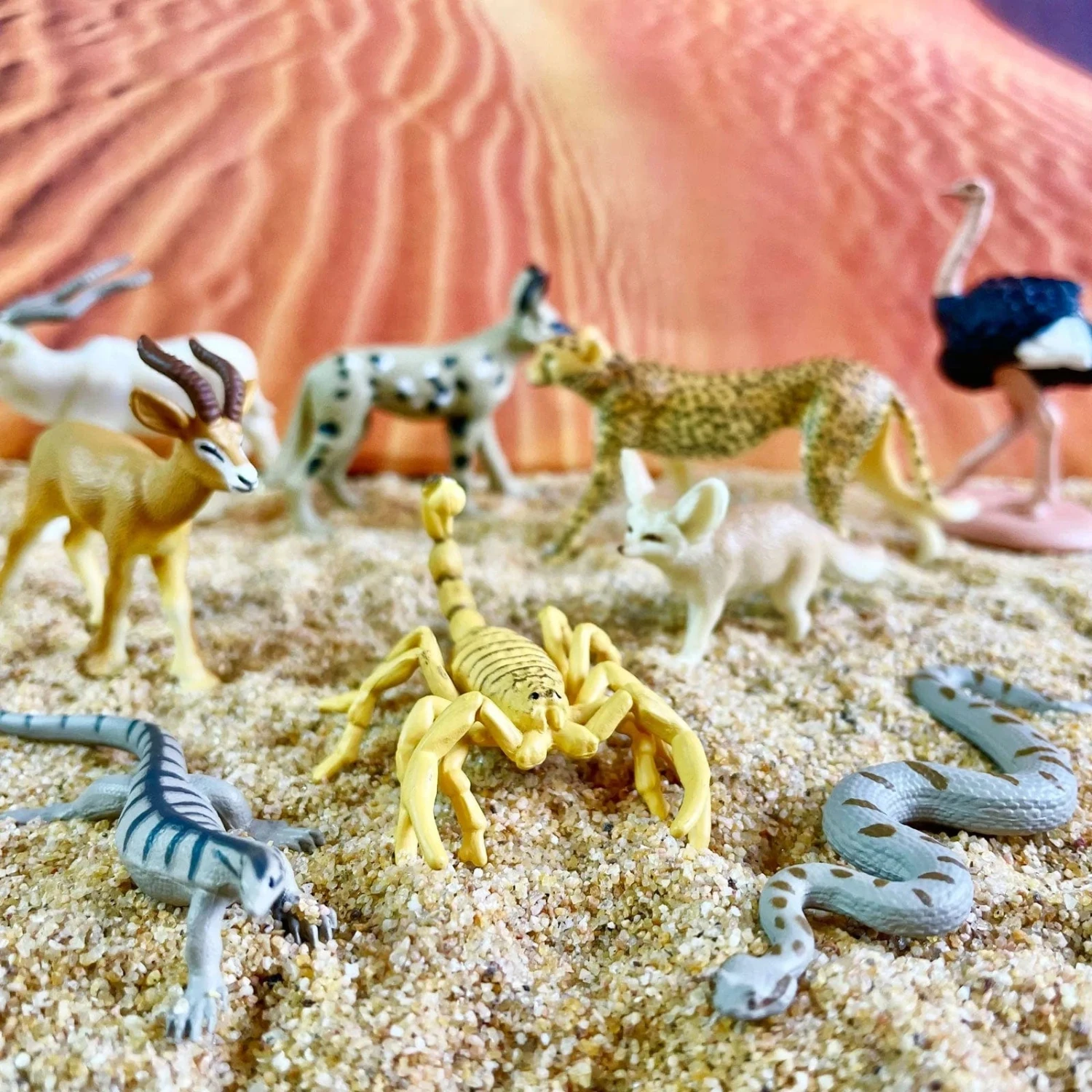 Sahara Desert Animals TOOB® 6 Sahara Desert Animals TOOB® - Image 4