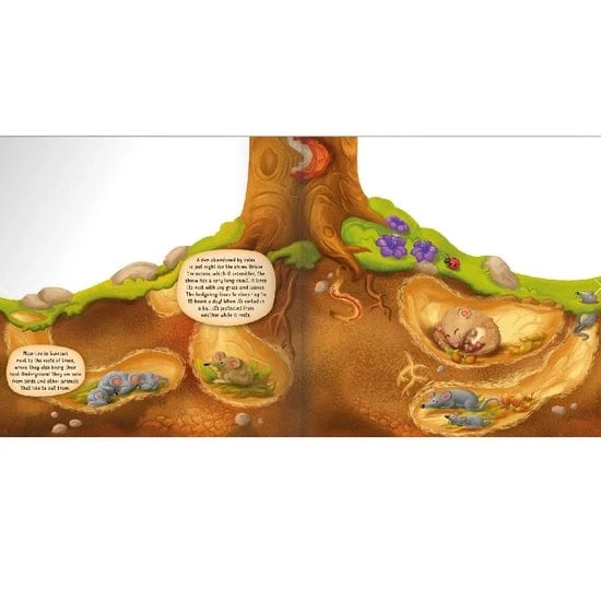 Underground Layered Board Book 3 Underground Layered Board Book - Image 2