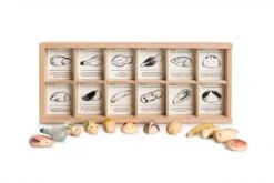 Wild Wooden Exploration Kit -Children's Trendy Toy Store wild wooden exploration kit grapat lil tulips 29366799663222