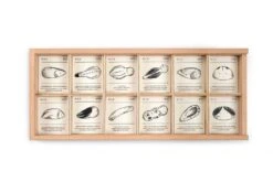 Wild Wooden Exploration Kit -Children's Trendy Toy Store wild wooden exploration kit grapat lil tulips 29366799728758